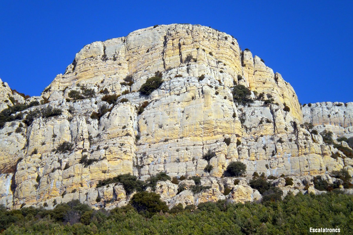 Silenci al Serrat de la Corona